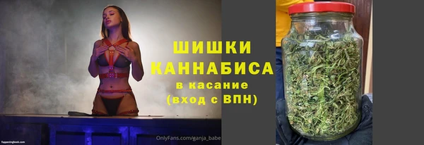 мдпв Богородск