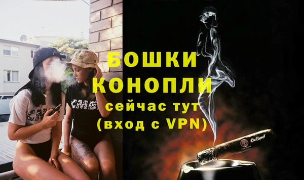 mdpv Богданович