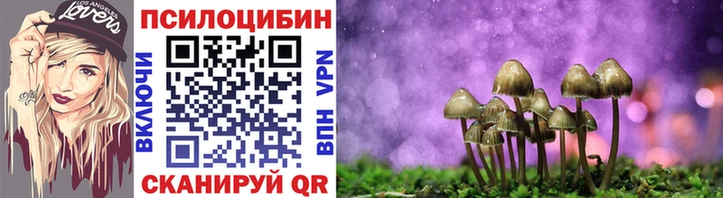 дарнет шоп  ОМГ ОМГ   Псилоцибиновые грибы прущие грибы  Мамадыш 
